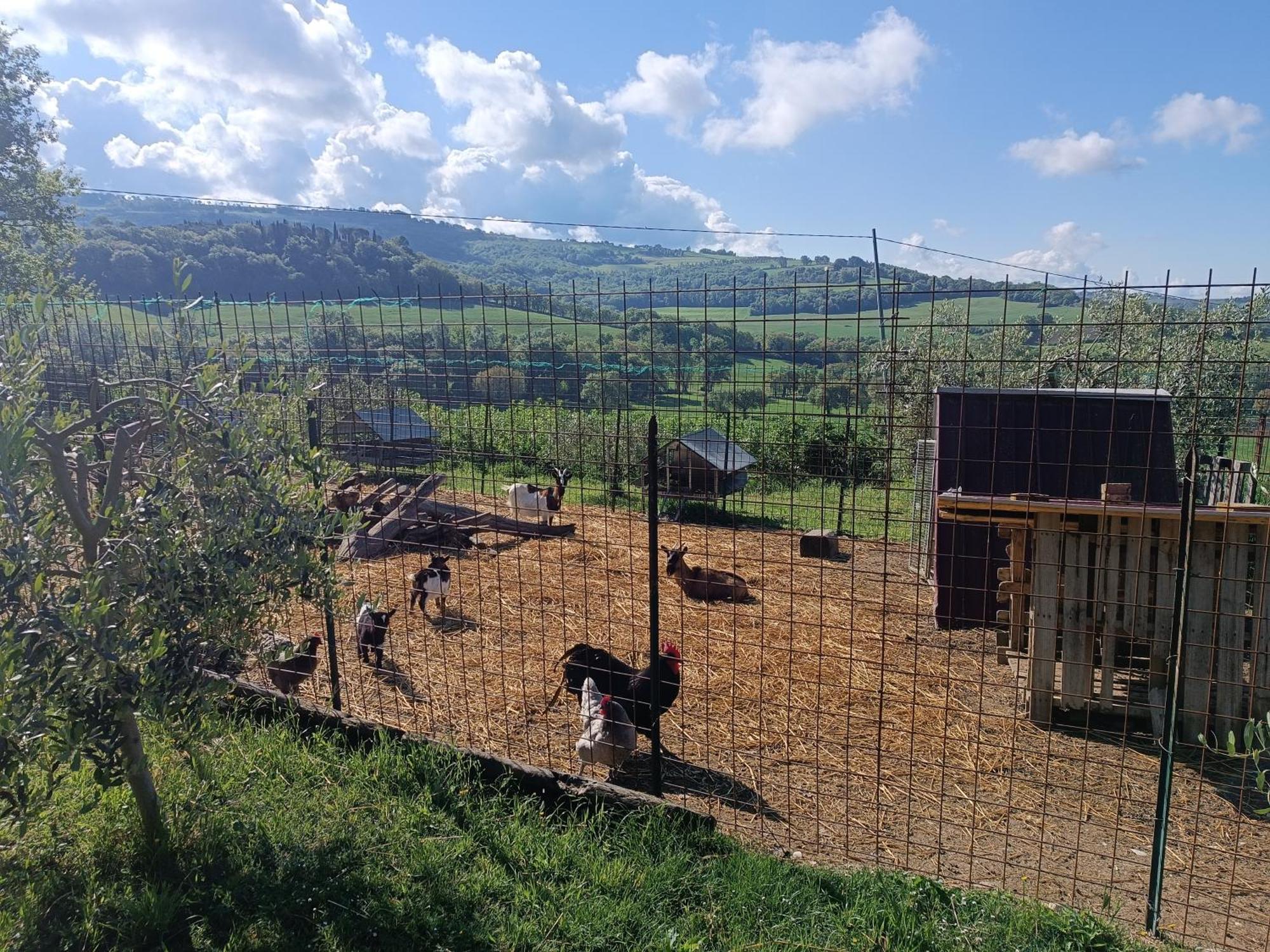 La Piccola Fattoria Villa Todi Kültér fotó
