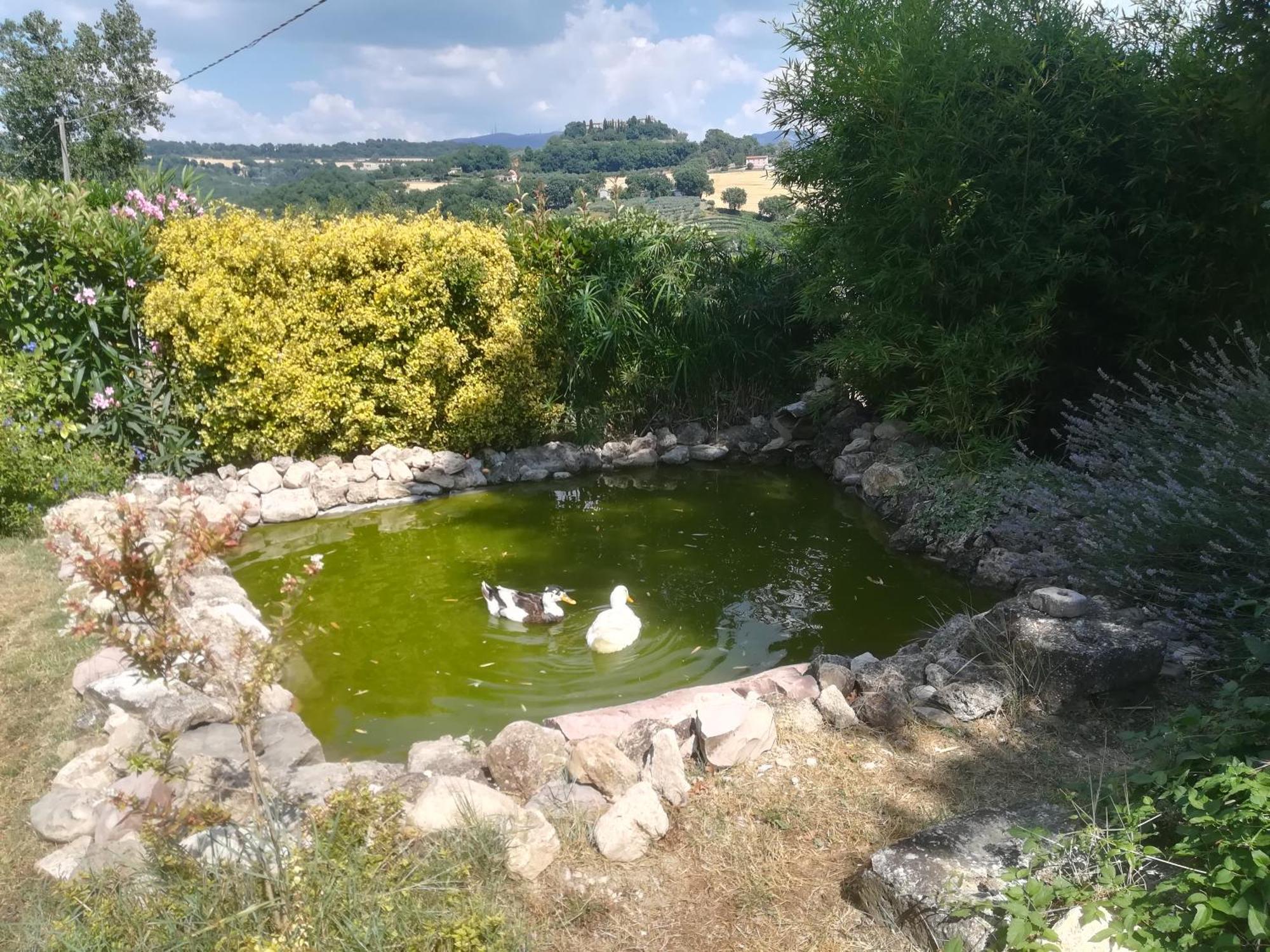 La Piccola Fattoria Villa Todi Kültér fotó