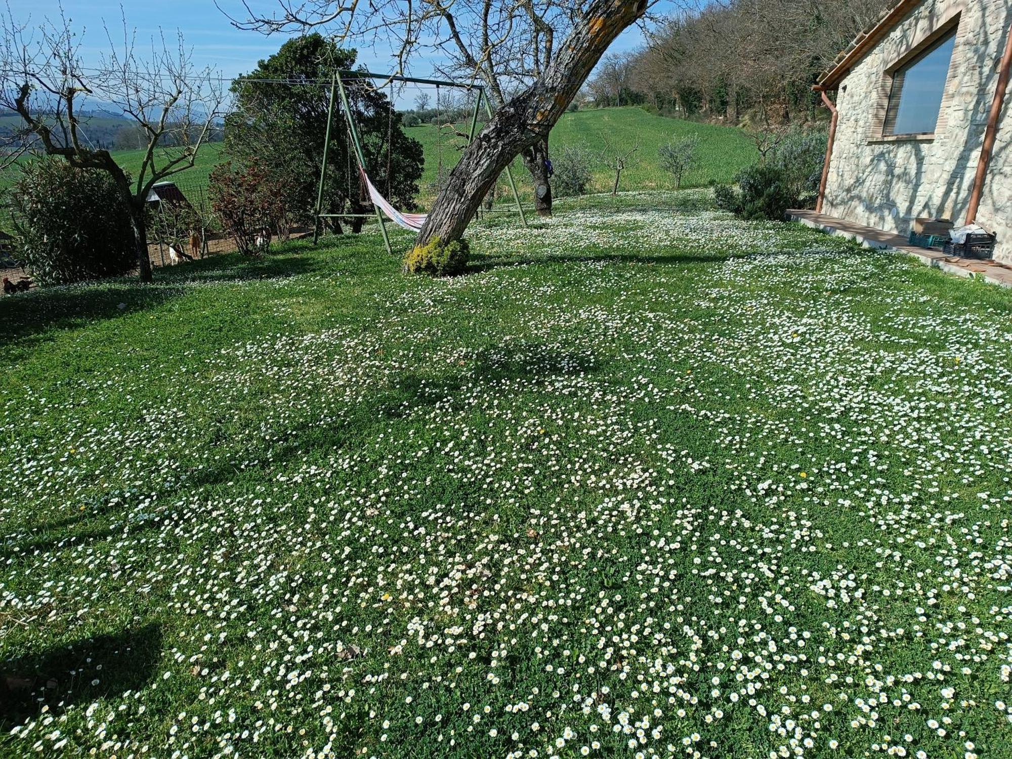 La Piccola Fattoria Villa Todi Kültér fotó